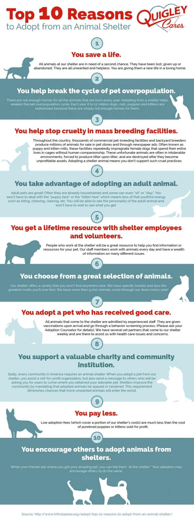Top 10 Reasons to Adopt from an Animal Shelter - Quigley Heating & AC
