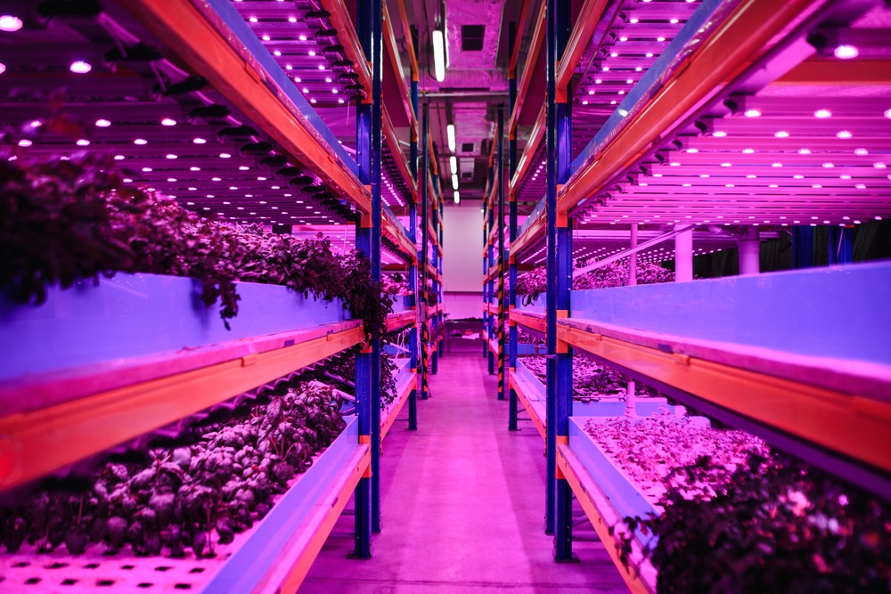 Vertical Farming and HVAC: Cultivating Coolness in the New Age of ...