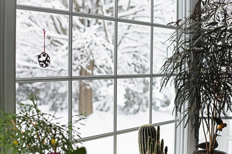A window view of a snow-covered landscape with leafy houseplants arranged on the sill indoors.